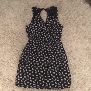 Cute cat dress